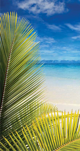 Publicite Maui Jim