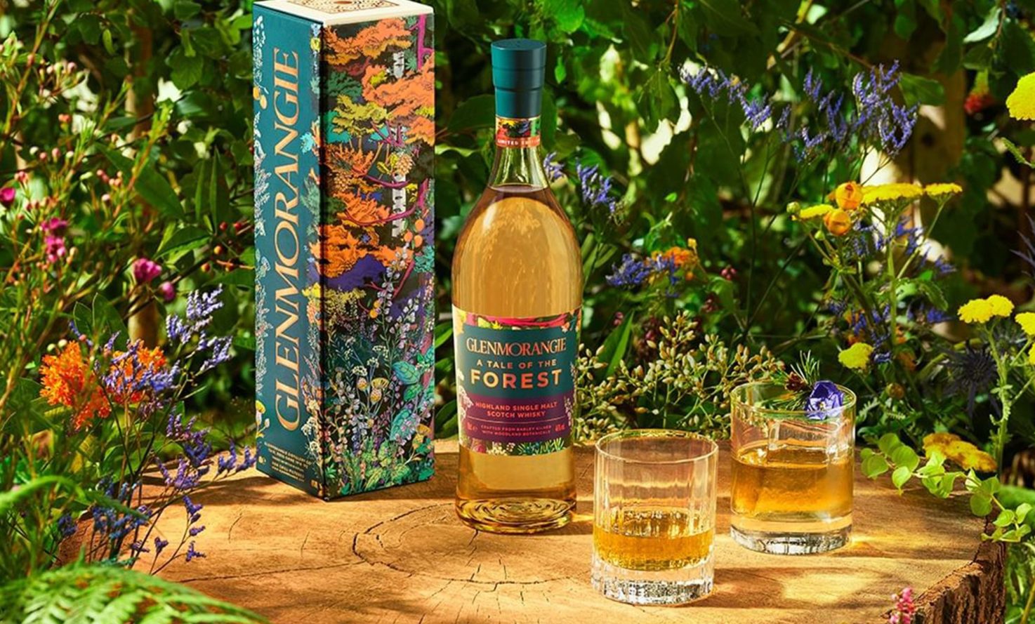 ZMIROV_COMMUNICATION_GLENMORANGIE_TALE_OF_THE_FOREST.